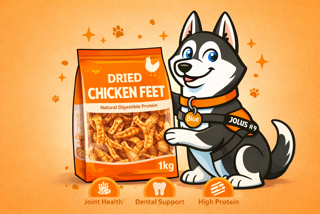 1kg Dried Chicken Feet