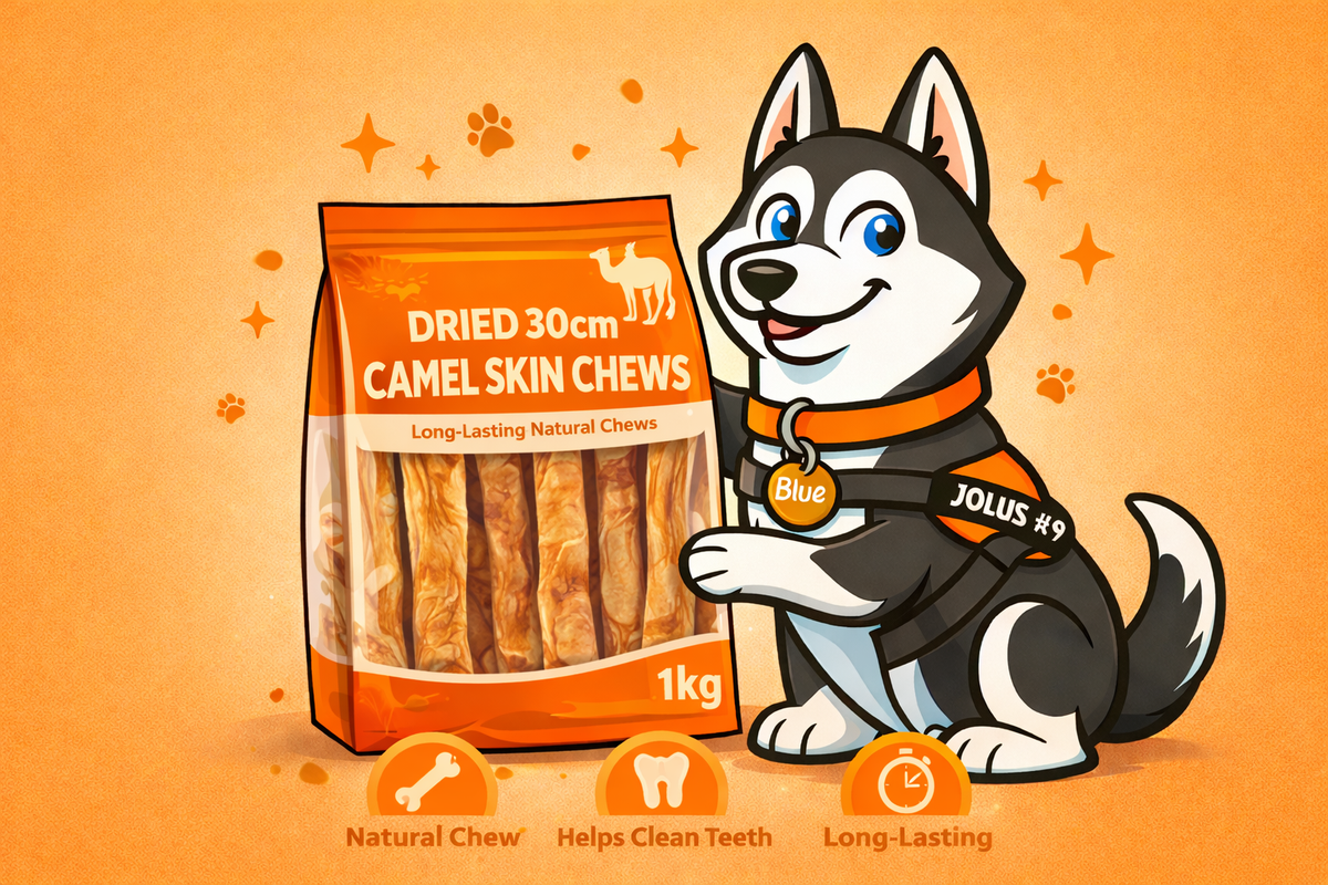 10 x 30cm Braided Camel Skin Chews