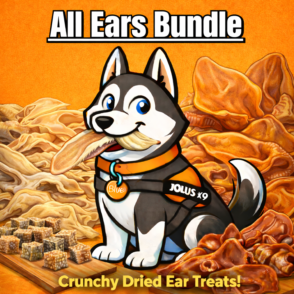 All Ears Bundle
