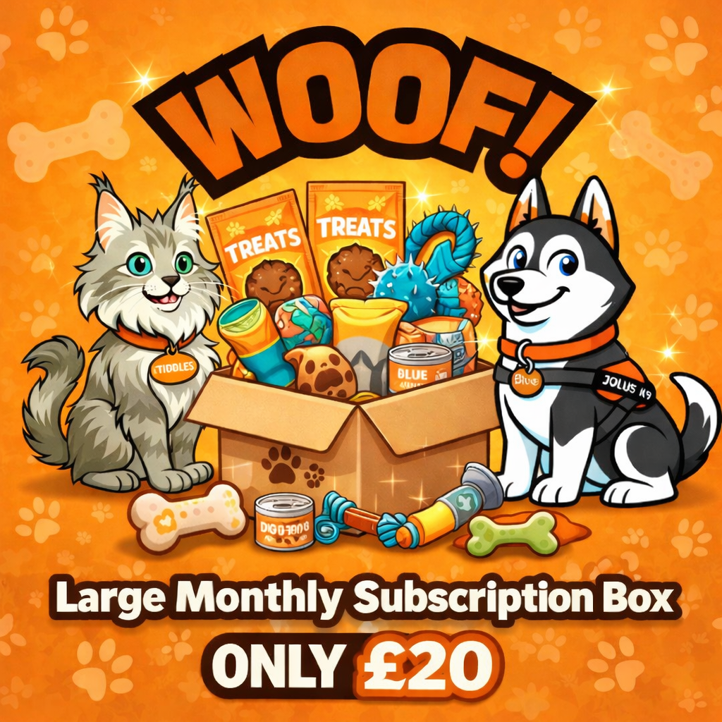 Large Subscription Box