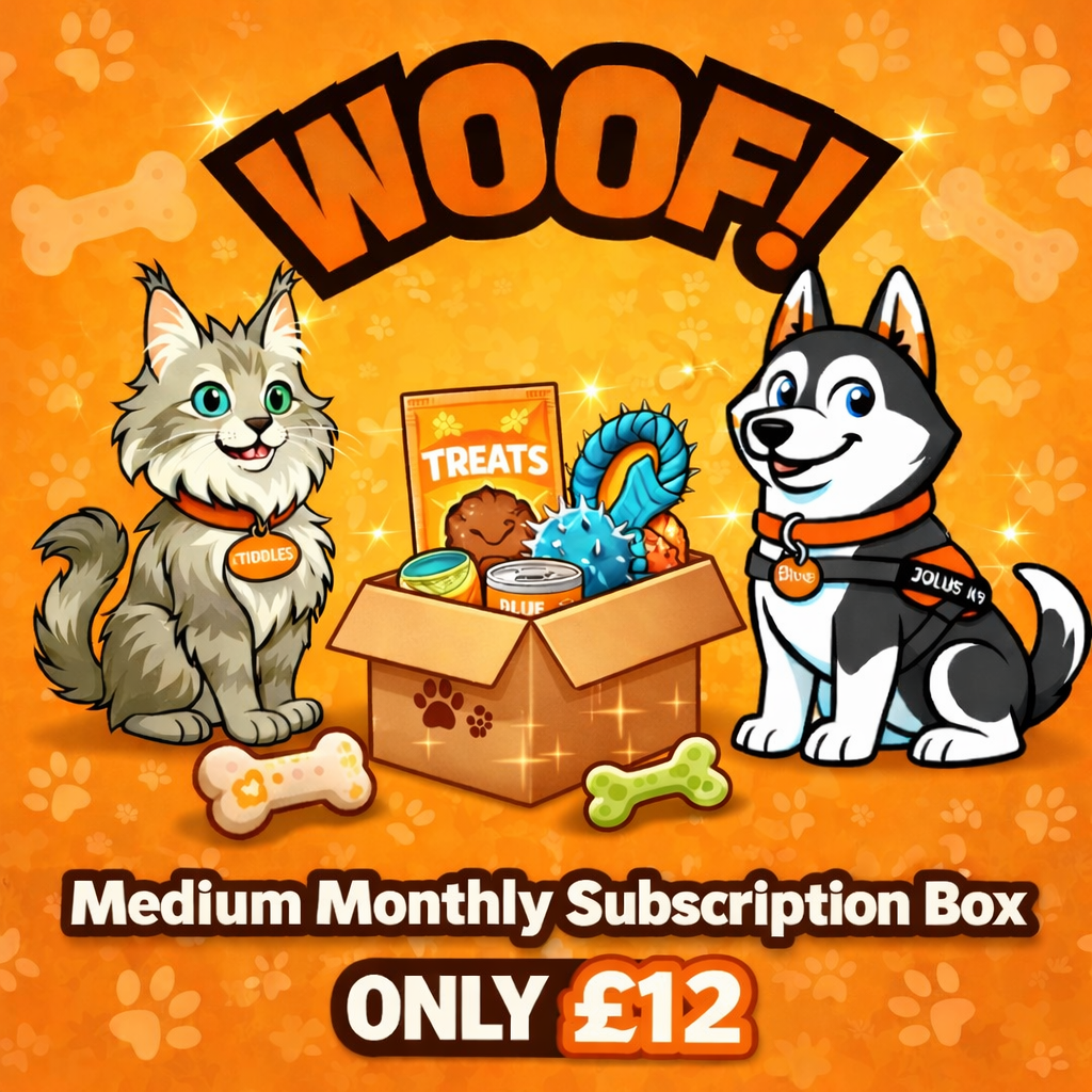 Medium Monthly Subscription Box