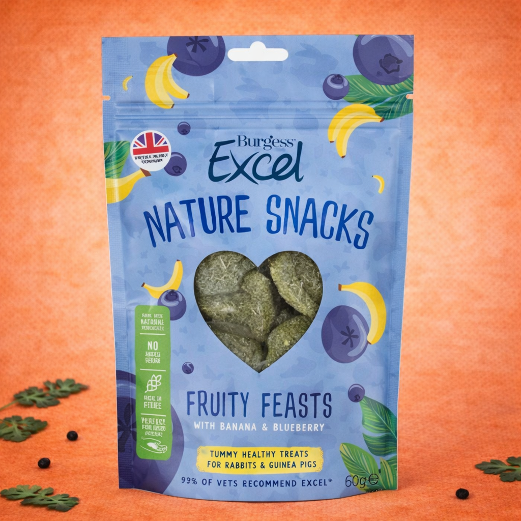 Burgess Excel Nature Snacks Fruity Feasts 60g