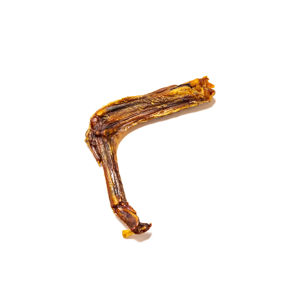 Duck Neck