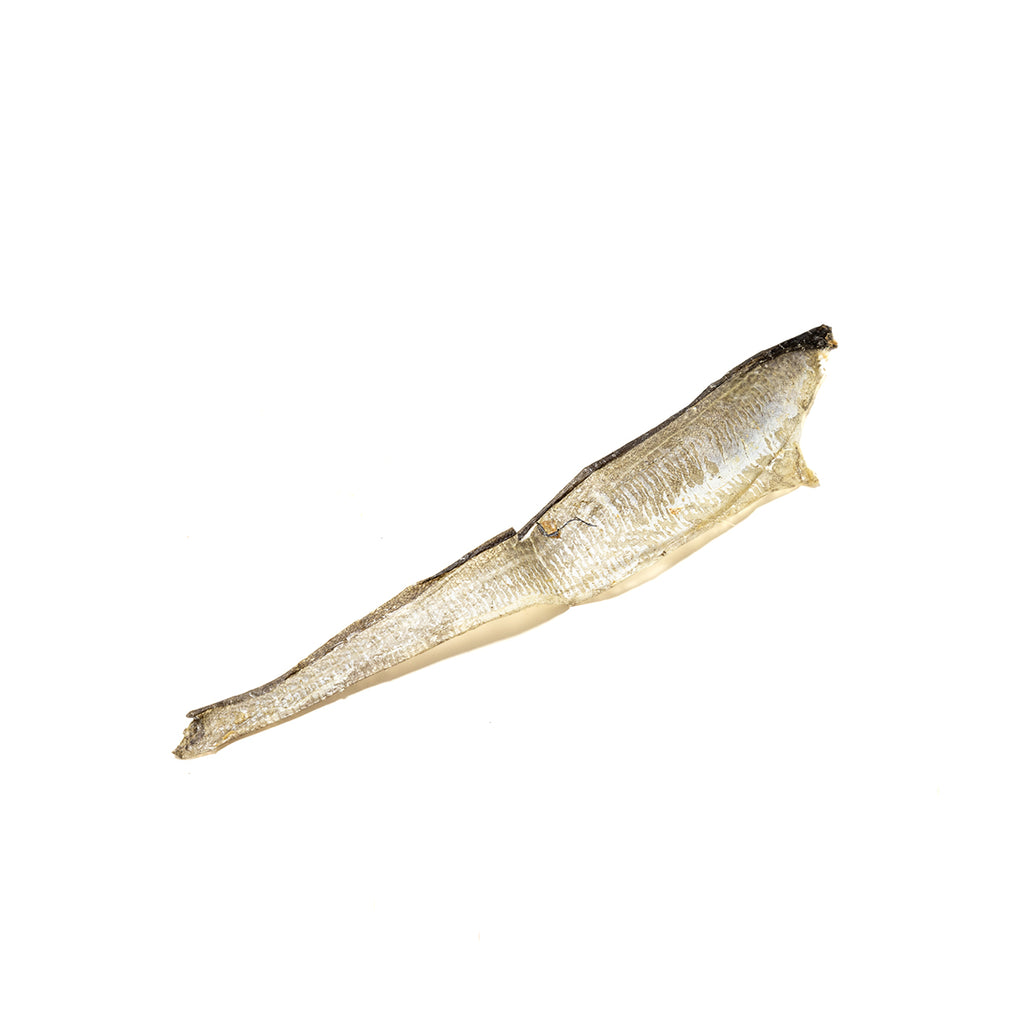 Fish Skin Flattie