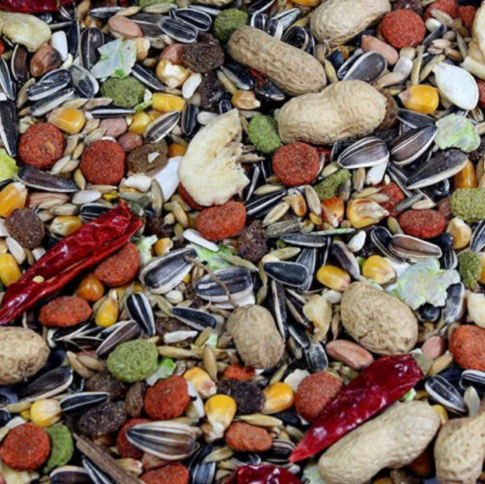 Tropical Bird Seed 1kg