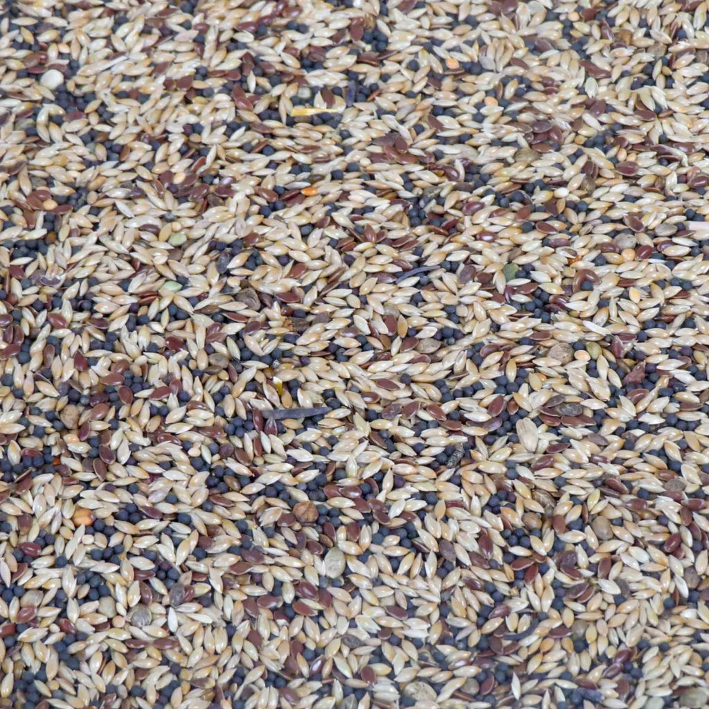Mixed Canary Seed 1kg